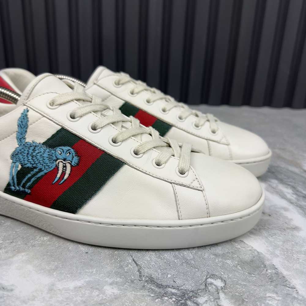 Gucci GUCCI Ace Web Freya Hartas sneaker Leather - image 7