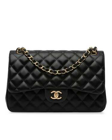 Chanel Quilted Leather Double Flap Shoulder Bag w… - image 1