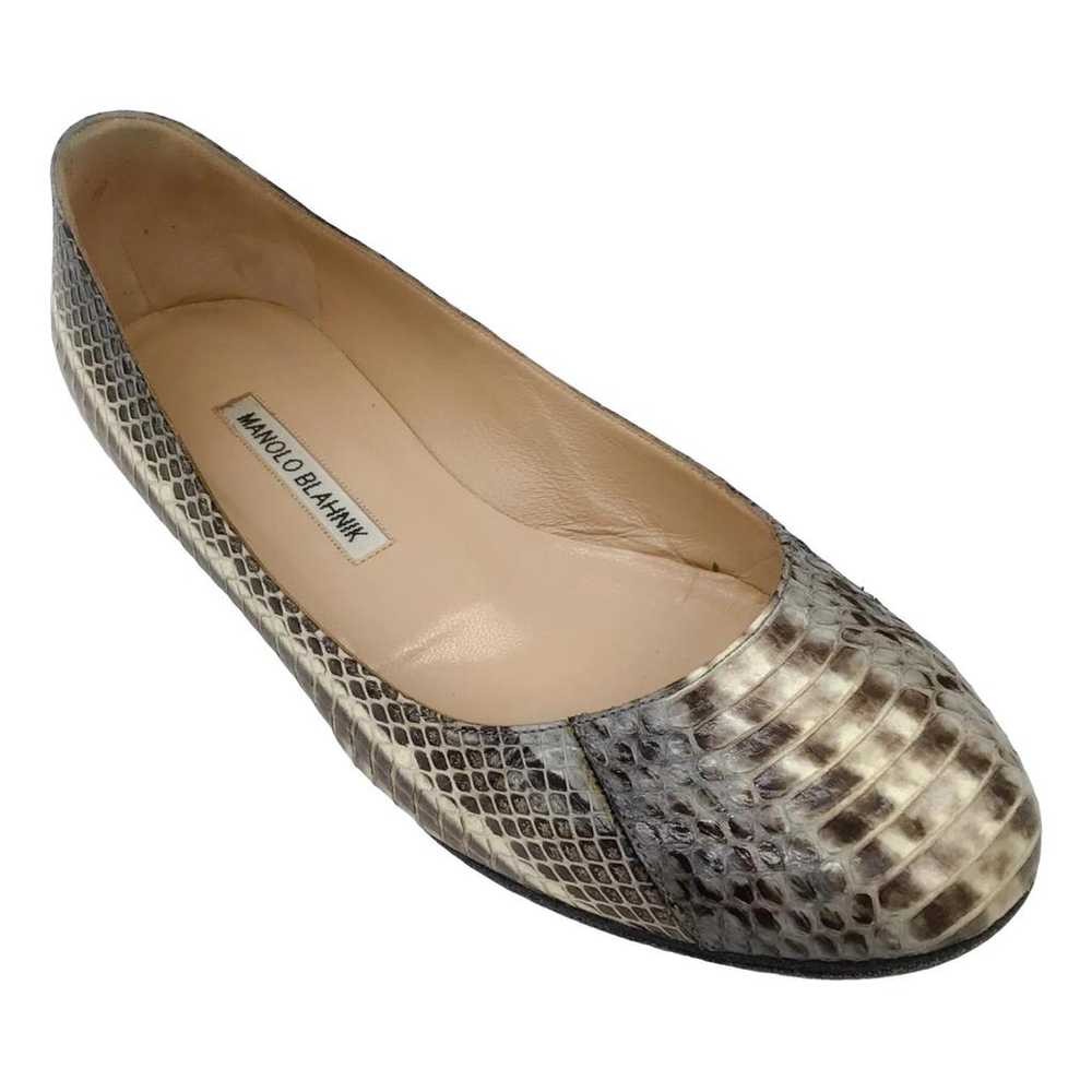 Manolo Blahnik Exotic leathers flats - image 1