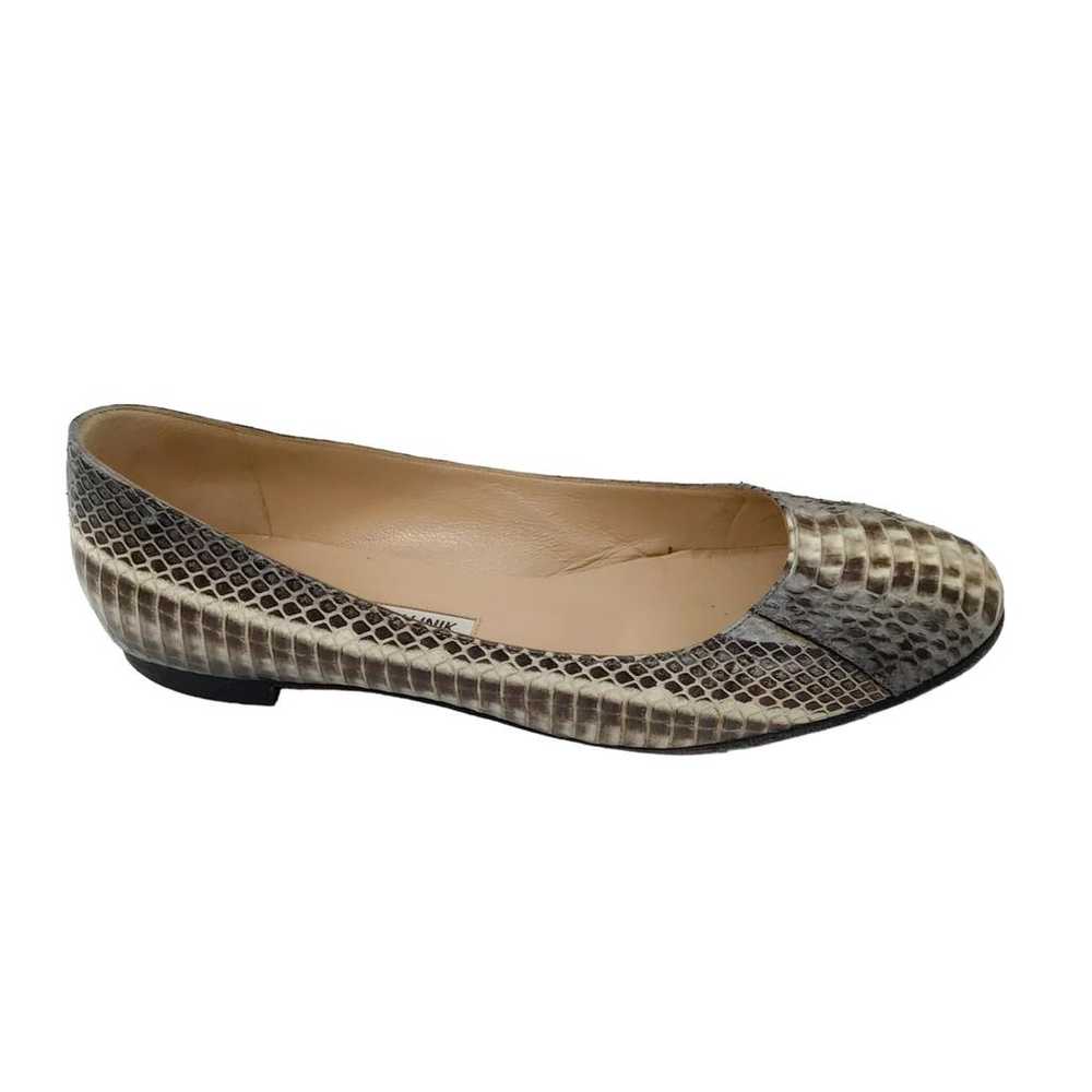 Manolo Blahnik Exotic leathers flats - image 2