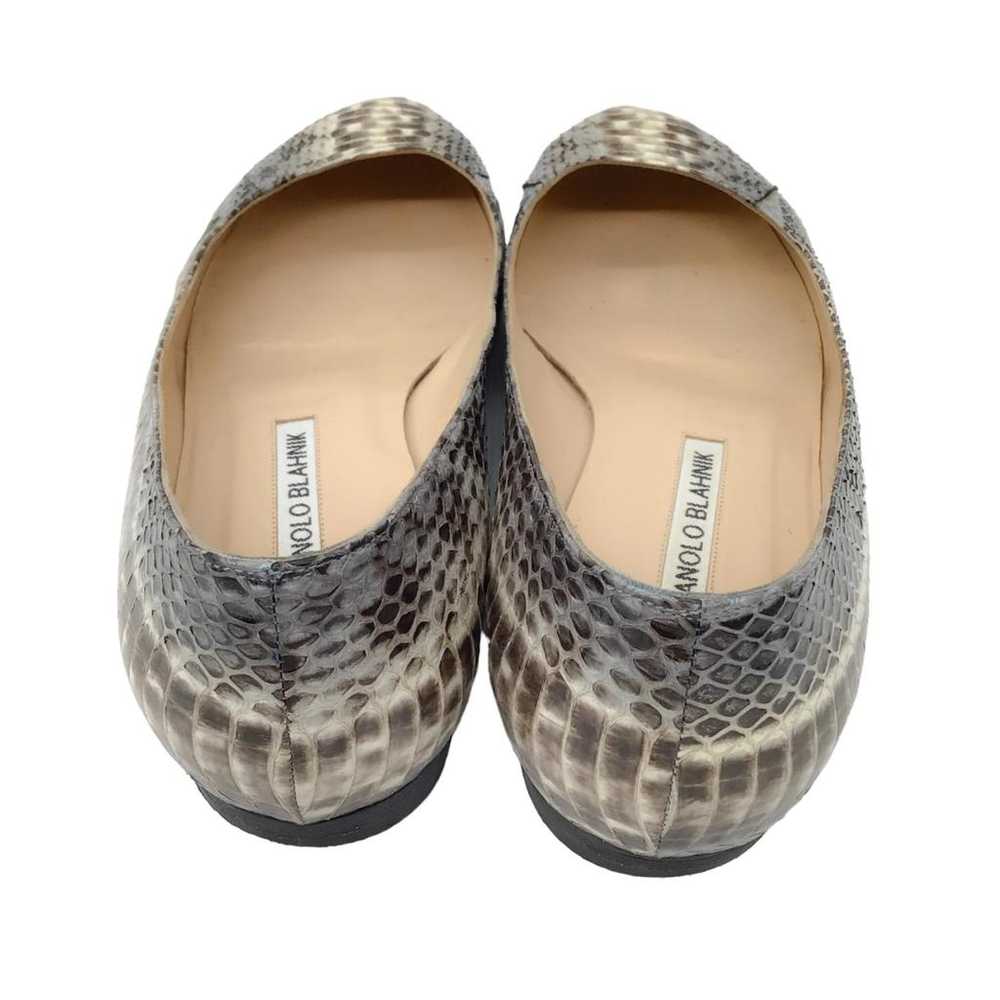 Manolo Blahnik Exotic leathers flats - image 6