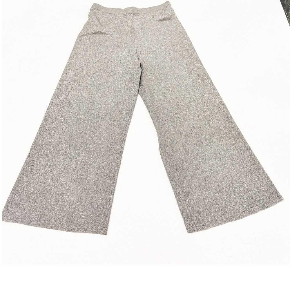 Zara Semi Sheer Metallic Stretchy Silver Pants Wi… - image 2