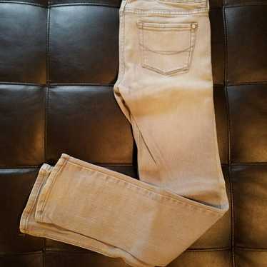 Bullhead Venice Vintage Skinny Jeans