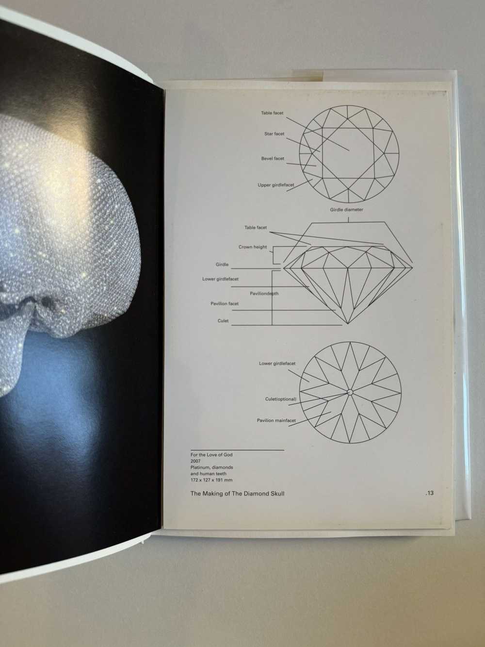 Damien Hirst DAMIEN HIRST: SIGNED - BOOK “For the… - image 5