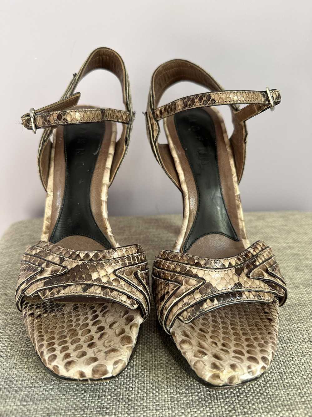 Marni Exotic pyton sandals Marni heels - image 4