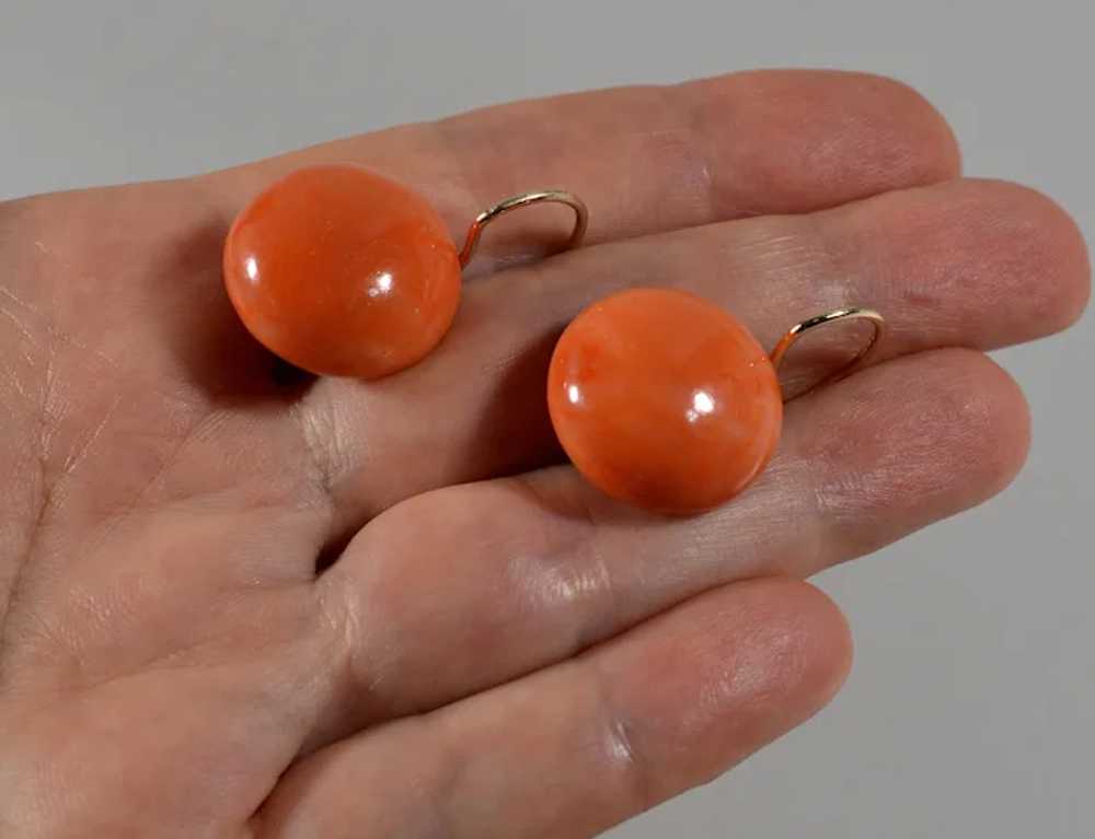 Estate 14K Gold Large Salmon Coral Earrings - image 2