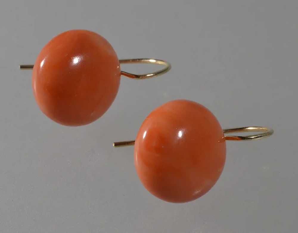 Estate 14K Gold Large Salmon Coral Earrings - image 3