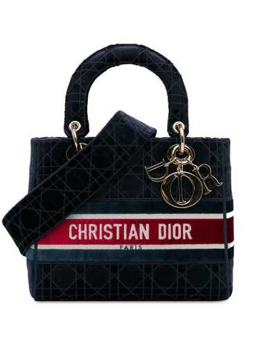 Christian Dior Pre-Owned 2021 Medium Velvet Cannag