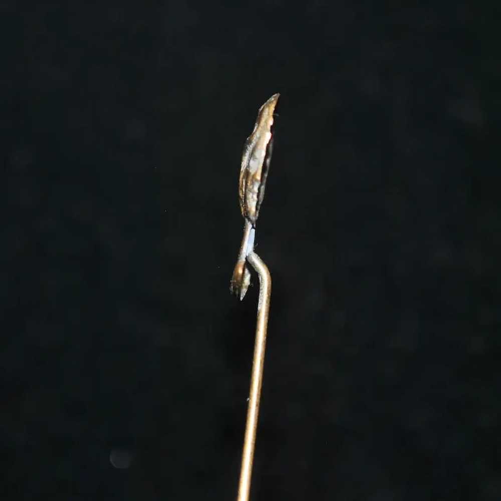 Brass Bust of a Woman Stick Pin - image 4