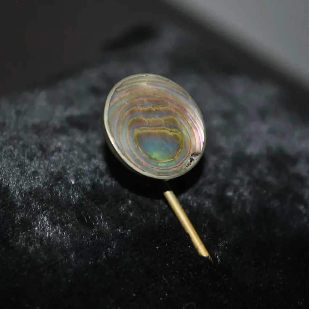 Abalone Circle Stick / Hat / Lapel Pin - image 2