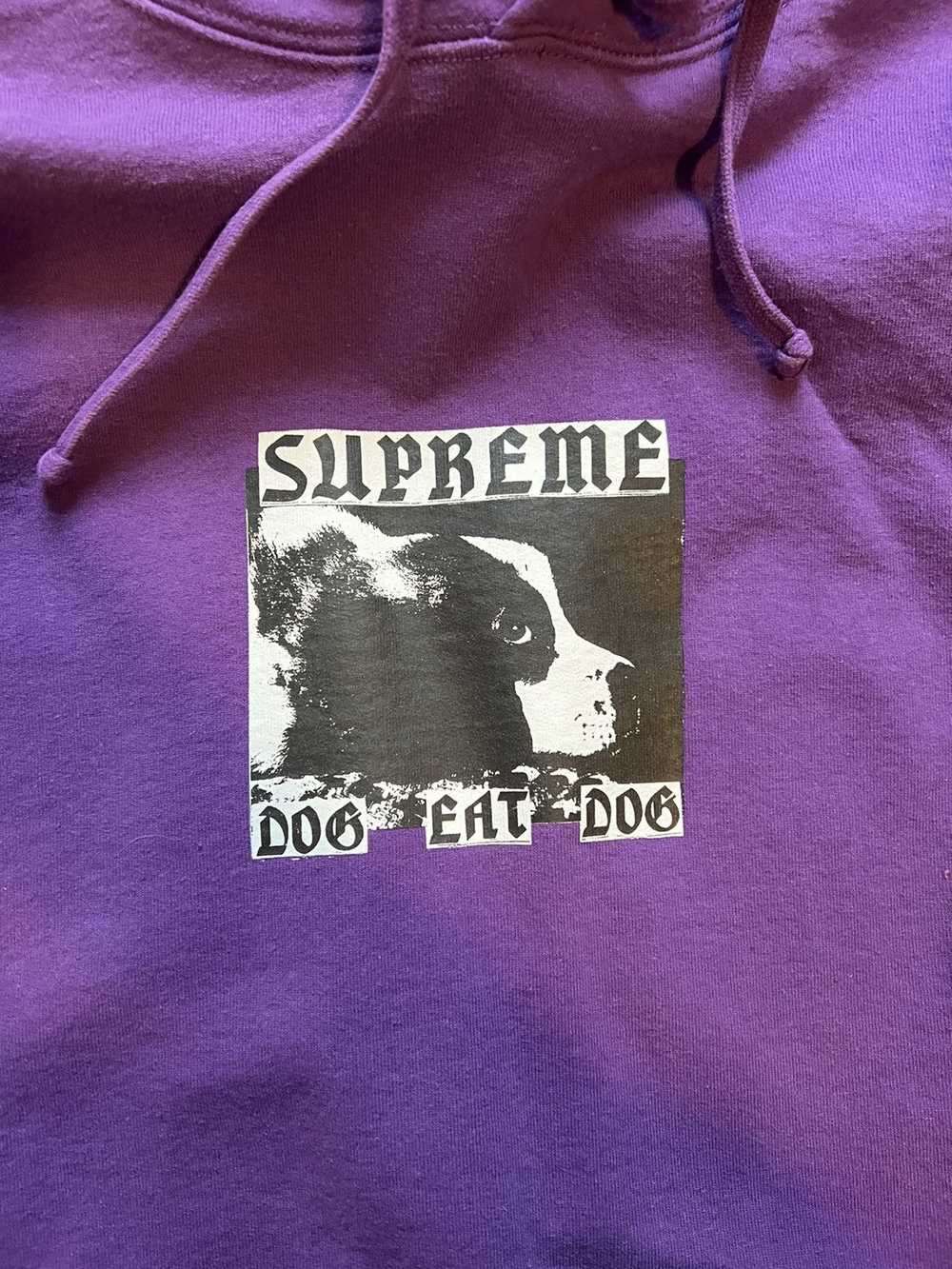 Supreme Supreme dog eat dog hoodie - image 2