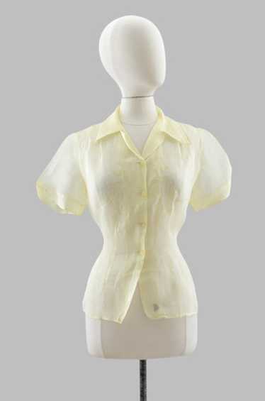 Vintage 1950s Organza top