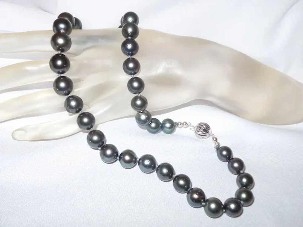 Tahitian Pearl Necklace with 14KWG Clasp - image 11