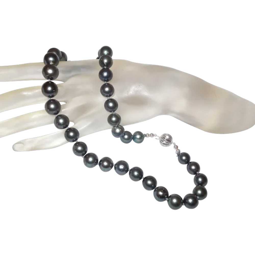 Tahitian Pearl Necklace with 14KWG Clasp - image 1