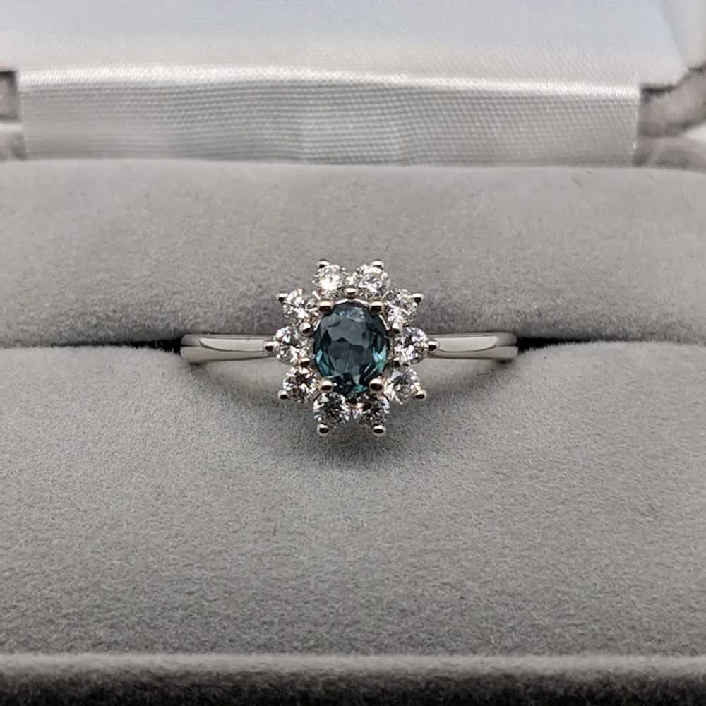 Pretty Alexandrite Ring in Solid 14K White Gold w… - image 6