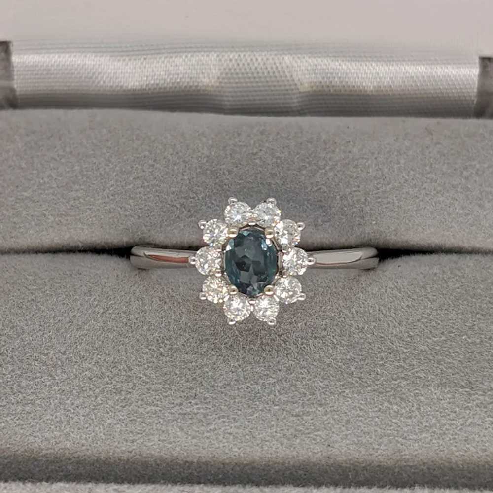 Pretty Alexandrite Ring in Solid 14K White Gold w… - image 8