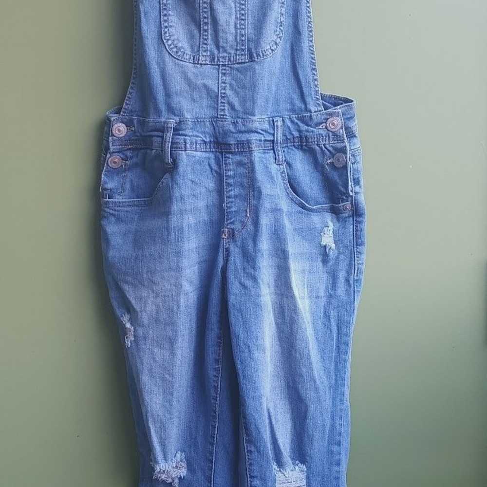 Wallflower denim overalls - image 1