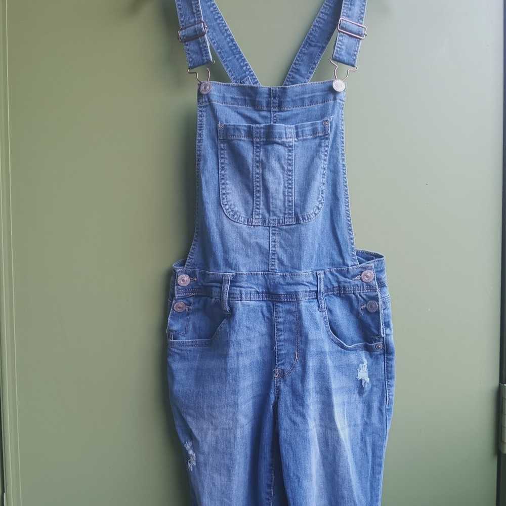 Wallflower denim overalls - image 2