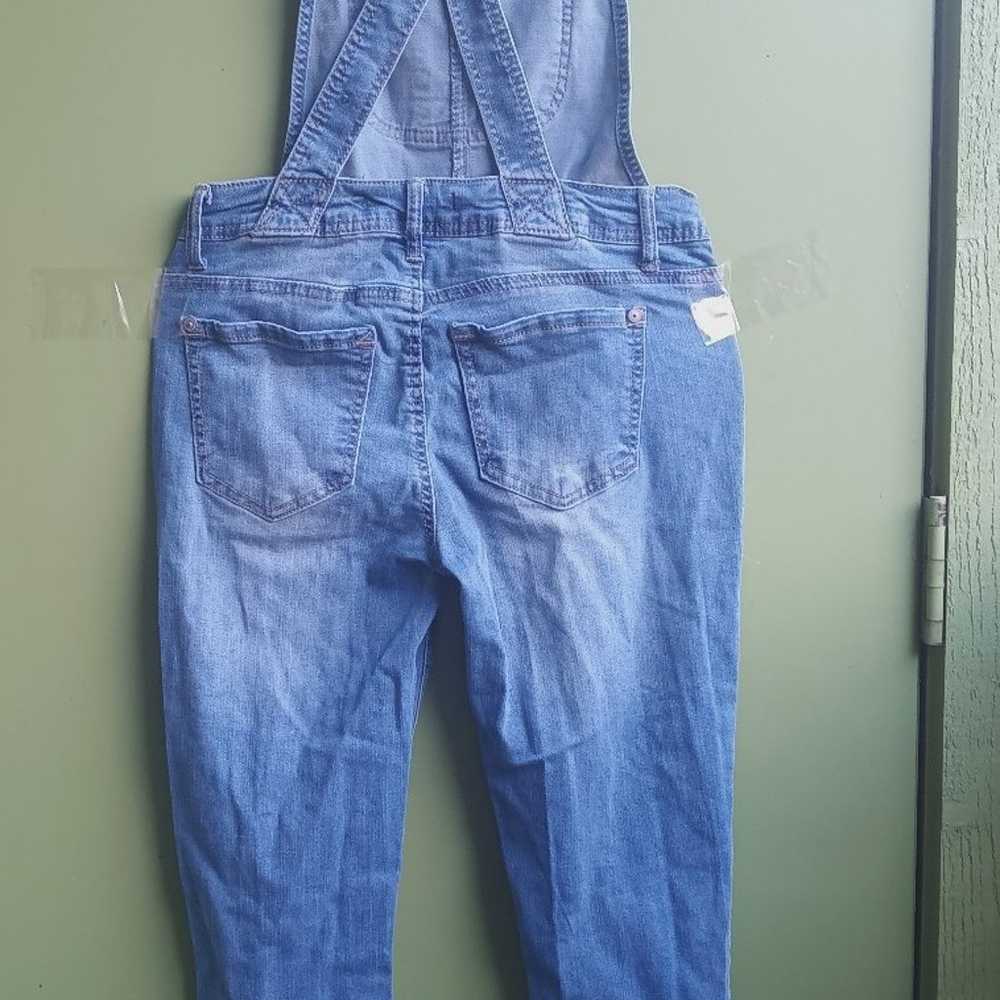 Wallflower denim overalls - image 4