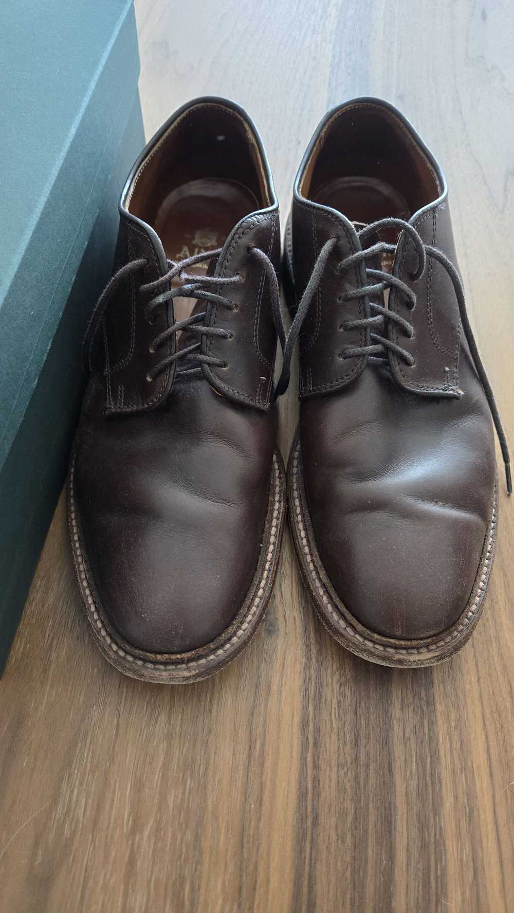 Alden 29364F Brown Chromexcel Plain Toe Blucher - image 1