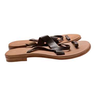 Cano Cano Carla sandal, coffee | 42