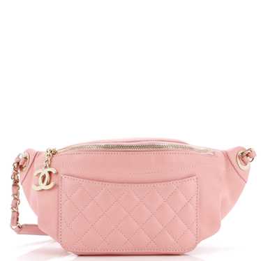 CHANEL Bi Classic Waist Bag Quilted Lambskin