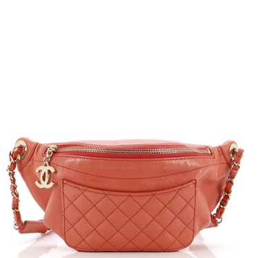 CHANEL Bi Classic Waist Bag Quilted Crumpled Calf… - image 1