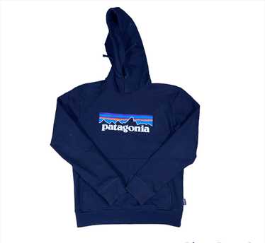 Patagonia Patagonia Uprisal Hoodie - image 1