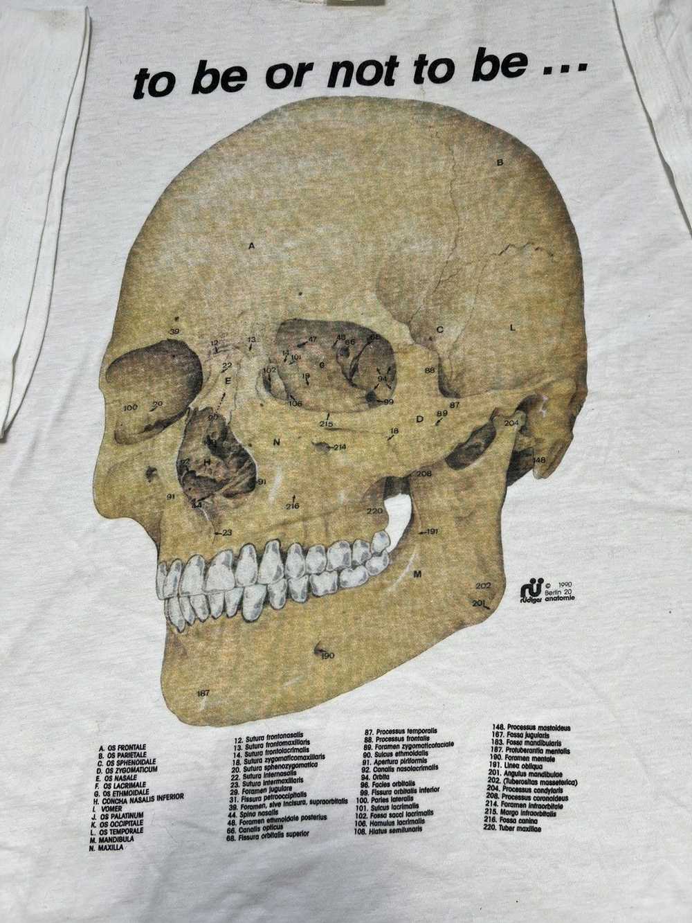 Band Tees × Skulls × Vintage Rüdiger Anatomie Sku… - image 3