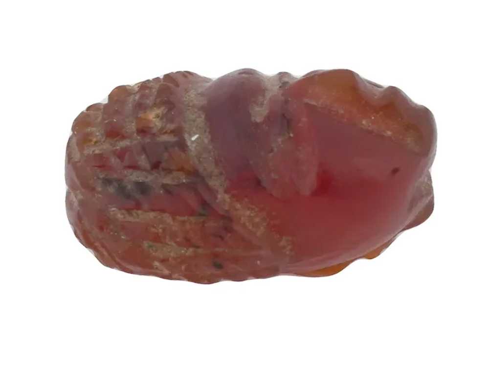 Ancient Susanian Carved Agate Head Intaglio Bead - image 3