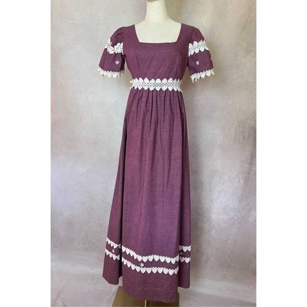 Vintage Prairie Dress - image 1