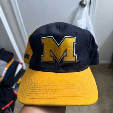 michigan wolverines