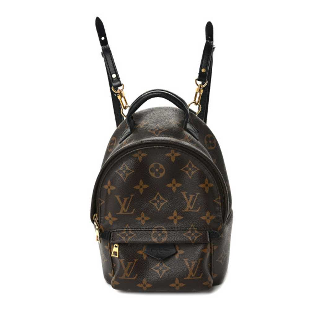 LOUIS VUITTON Monogram Palm Springs Backpack Mini - image 1