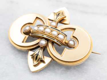 Victorian Gothic Enamel and Seed Pearl Brooch - image 1