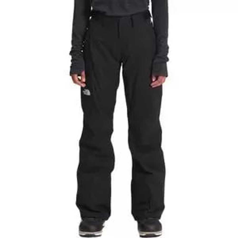 The North Face Freedom Insulated Pant - image 1