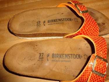 papillio birks