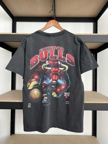 Chicago Bulls × NBA × Vintage Vintage 1993 Chicag… - image 1