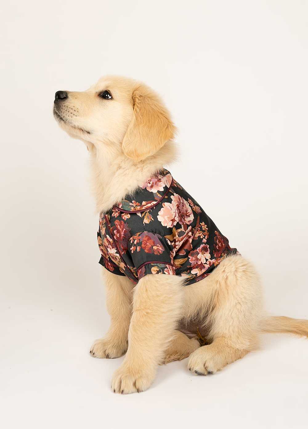 Joyfolie Ruby Pet Pjs in Off Black Floral - image 3