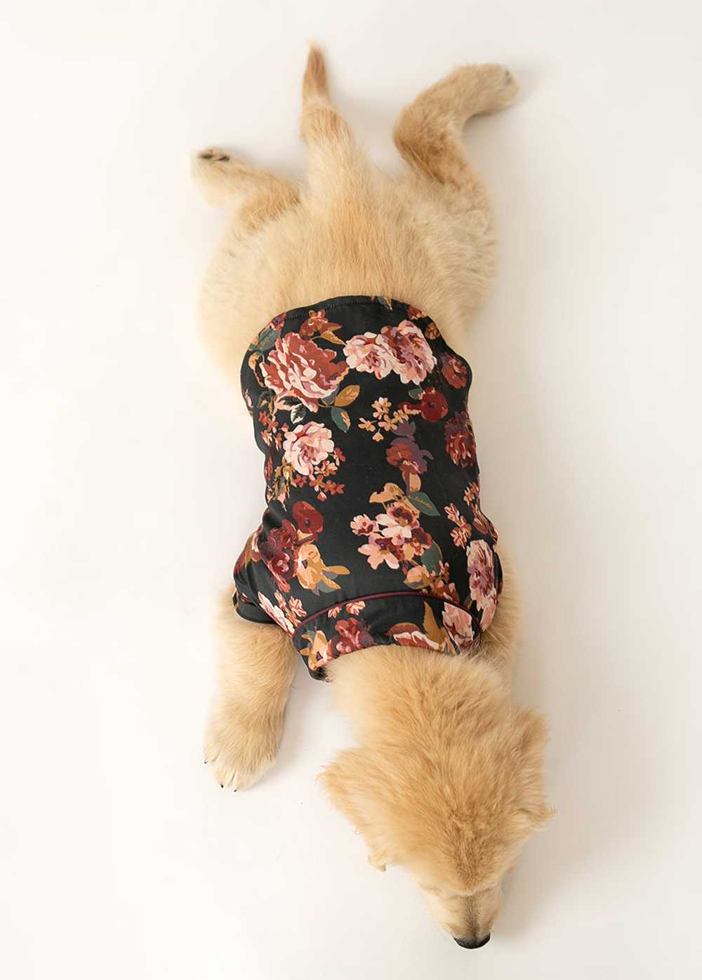 Joyfolie Ruby Pet Pjs in Off Black Floral - image 4