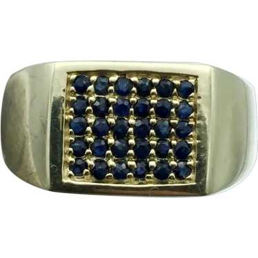 Sterling Silver Sapphire Ring - image 1