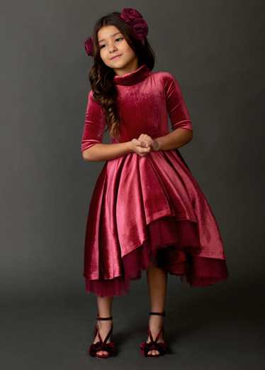 Joyfolie Audrah Petticoat Dress in Barberry