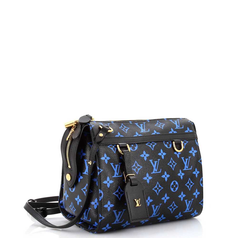 Louis Vuitton Speedy Amazon Bag Monogram Canvas PM - image 2