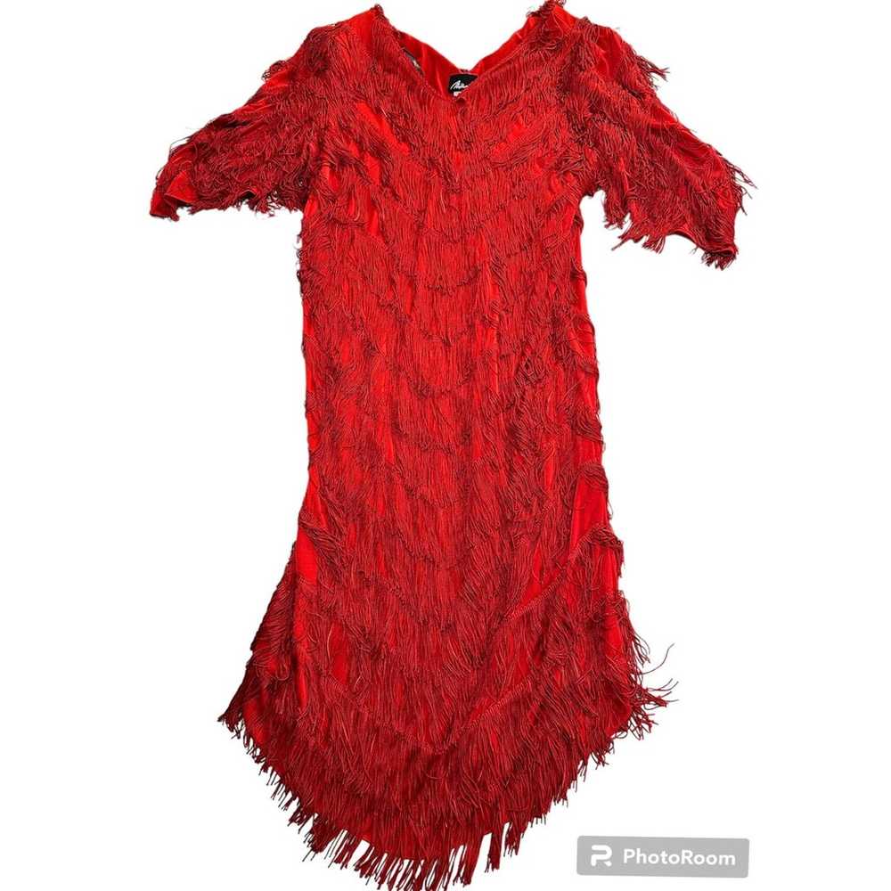 Vintage Nightworks Flapper Fringe Dress - image 1