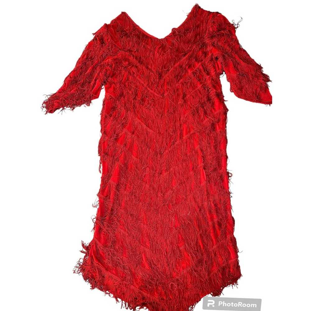 Vintage Nightworks Flapper Fringe Dress - image 2