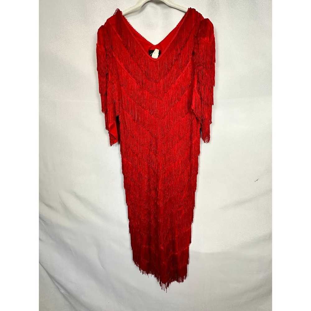 Vintage Nightworks Flapper Fringe Dress - image 5