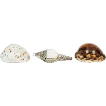 Vintage Silvered Hermit Crab Shell & 2 Tiger Cowri