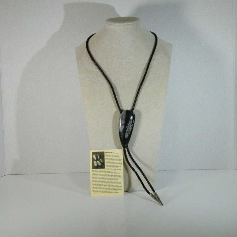 Vintage Orthoceras bolo tie - image 1