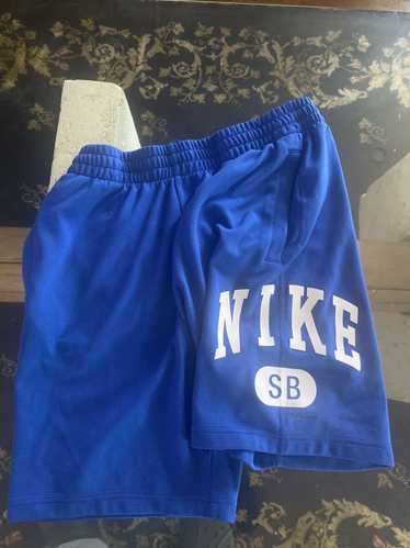 Nike sb everett aop shorts best sale