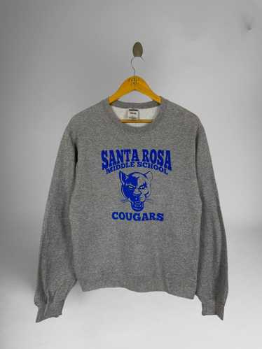 Jerzees × Streetwear × Vintage VINTAGE SANTA ROSA 