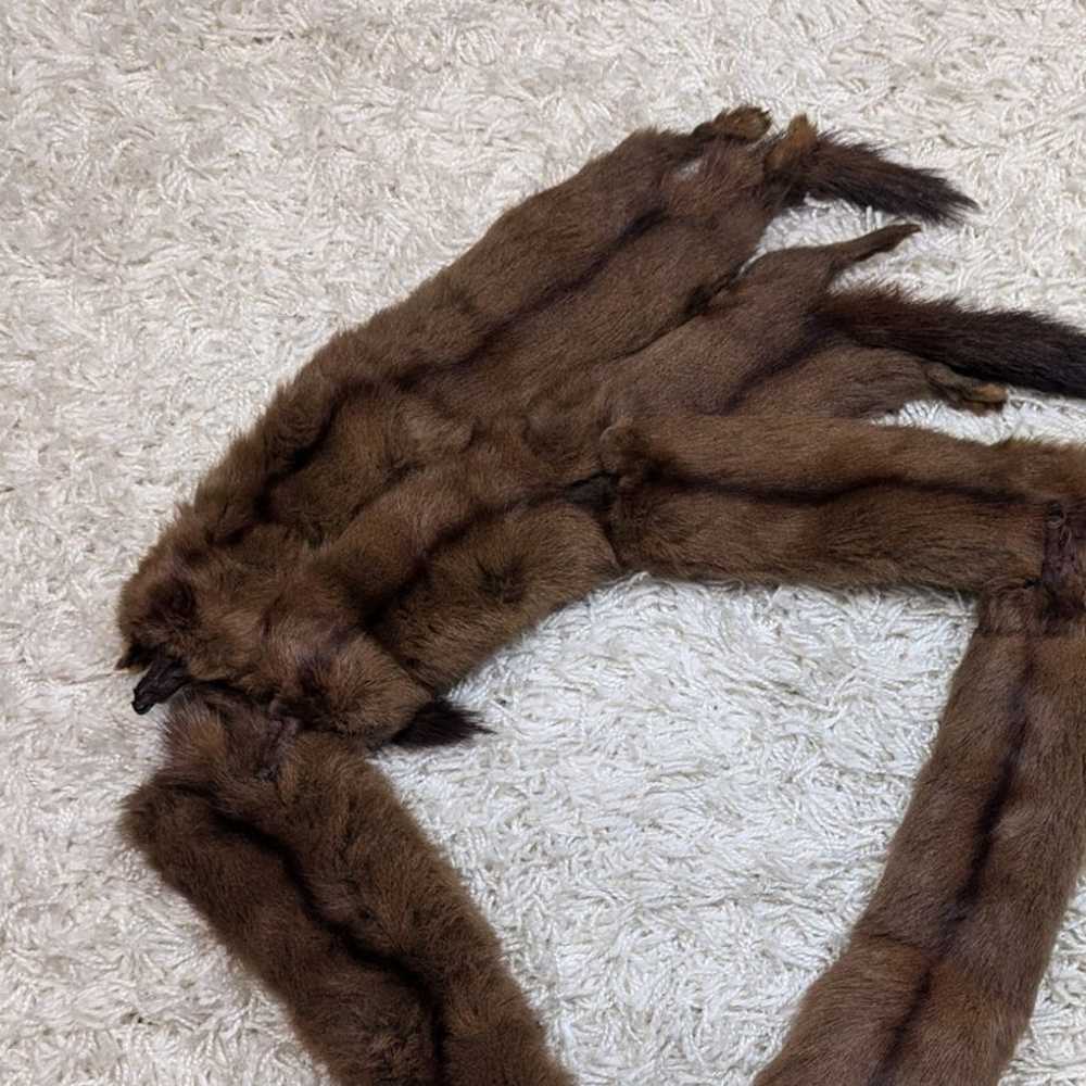 Vintage Mink Fur Stole Wrap - image 12